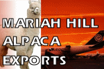 Mariah Hill Alpaca & Export